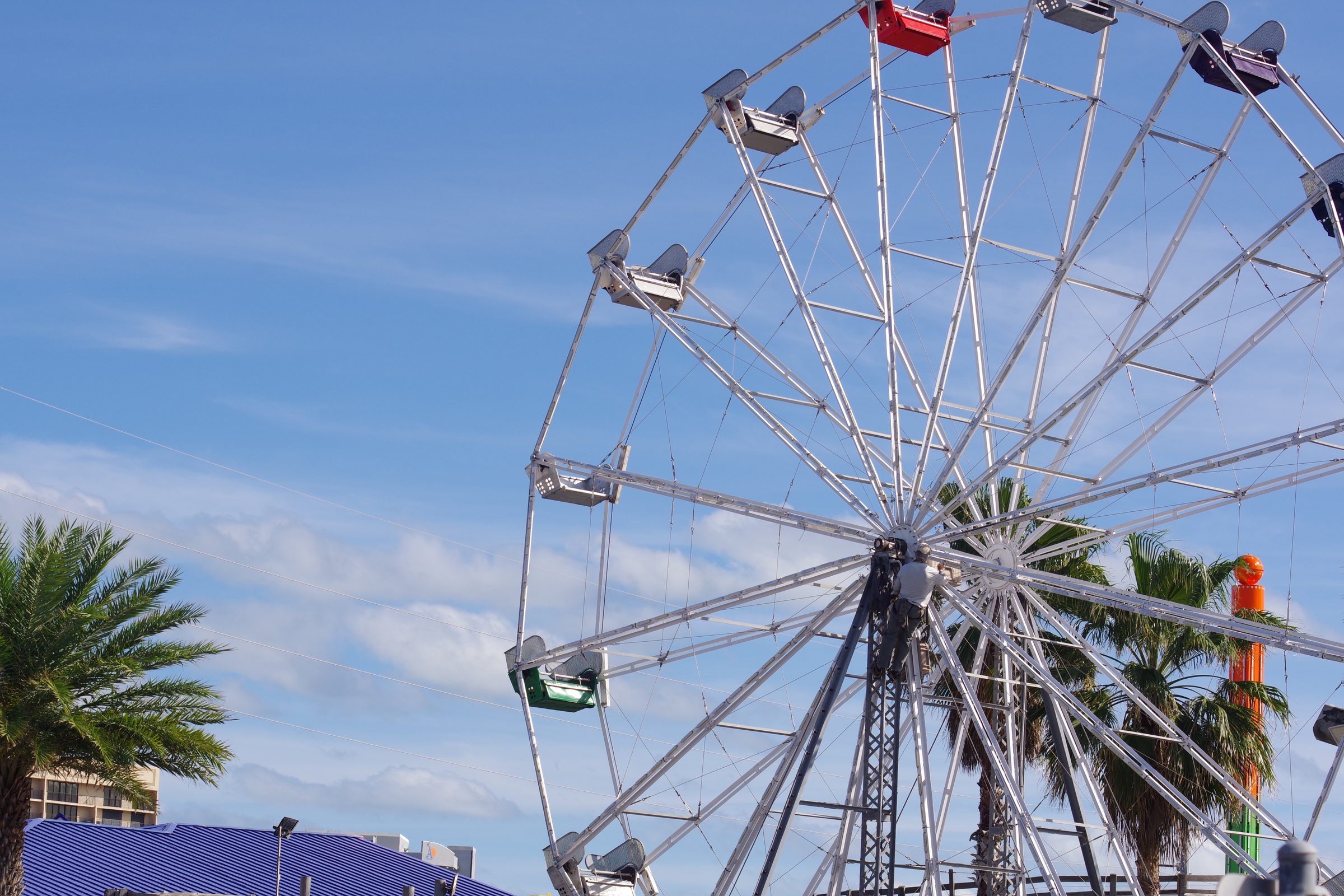 Looking up at a white Ferris wheel with red, purple, and green gondolas, palm fronds, blue roof, and orange tower