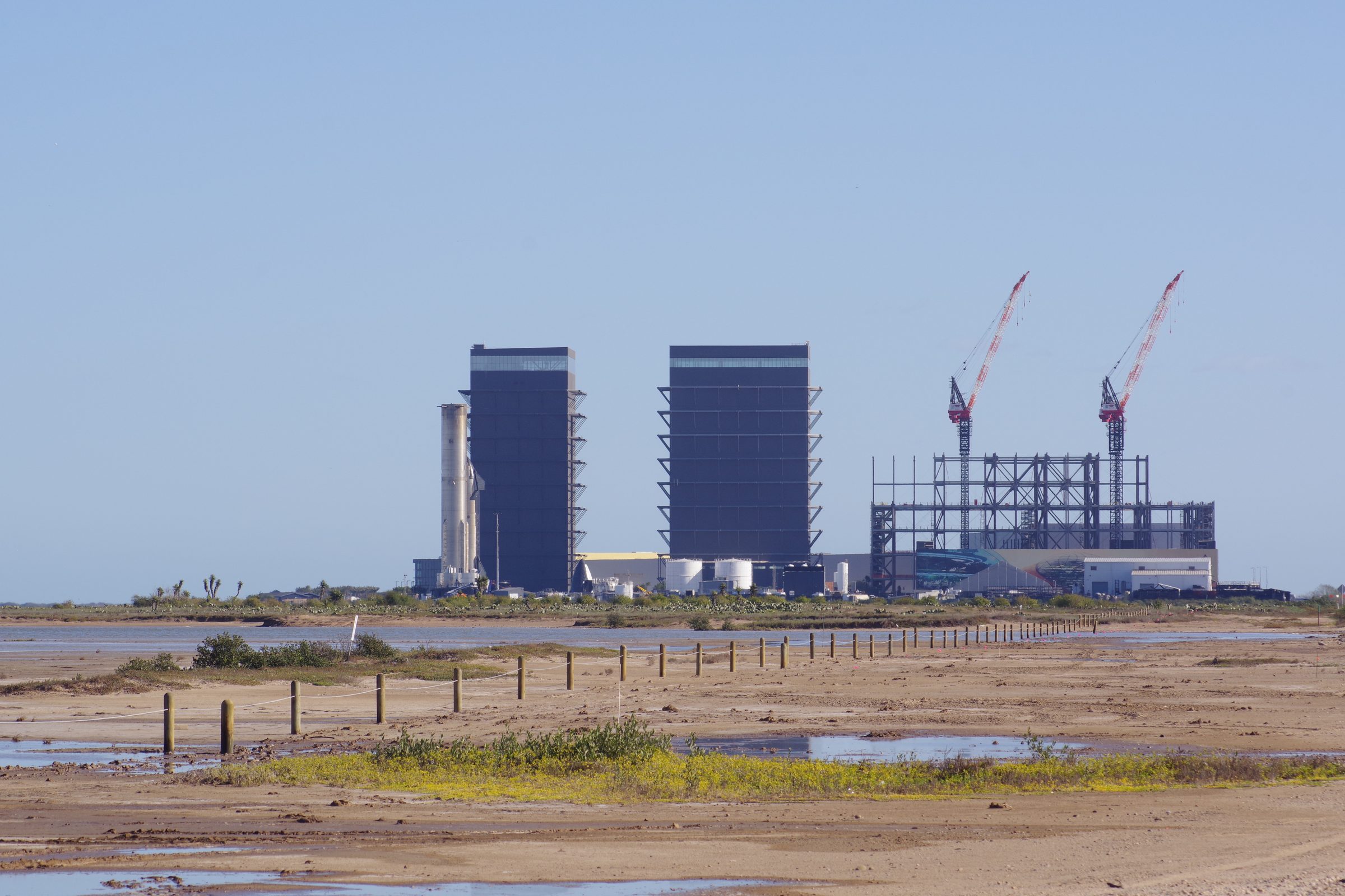 Twin dark High Bays and Starship across wetlands with steel frame under construction, red and white cranes, yellow flowers and tidal pools in the foreground